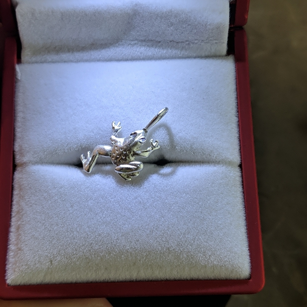 Frog 🐸 charm